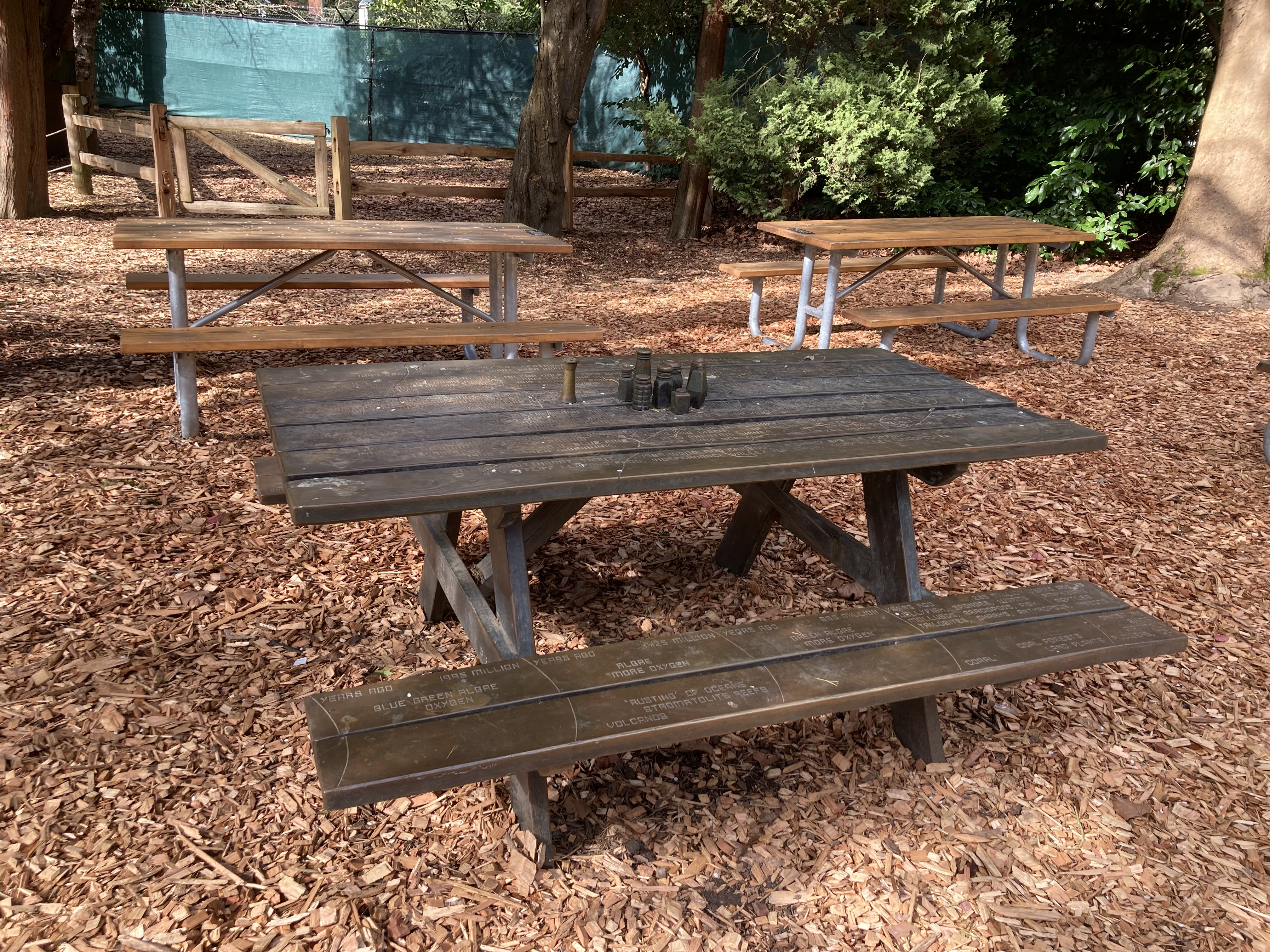 The top of a picnic table. In the center of the table are bronze salt & pepper shakers. The surfaces of the table are etched.