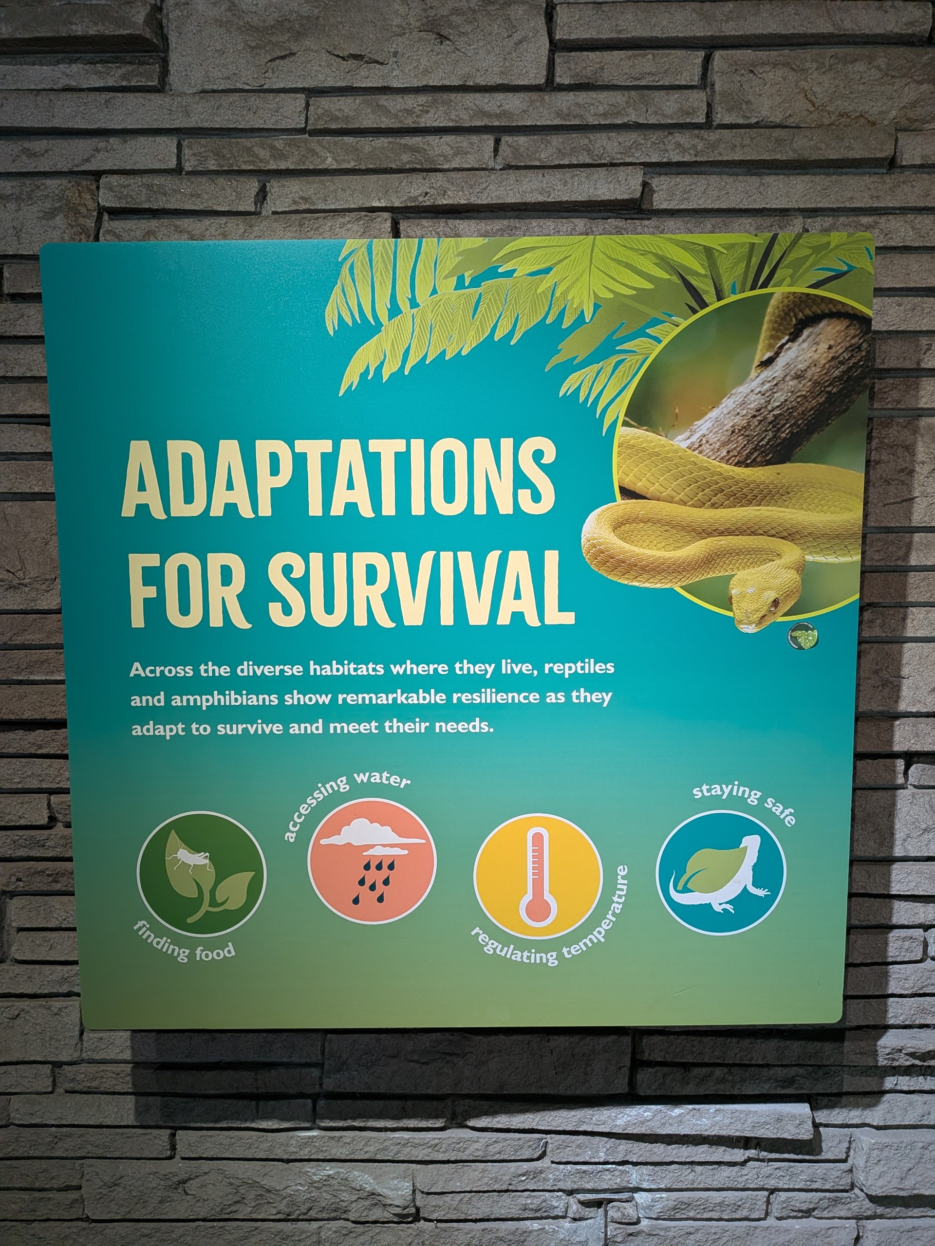 An image of a sign reading "Adaptations for Survival." There are 4 circles at the bottom of the sign. 