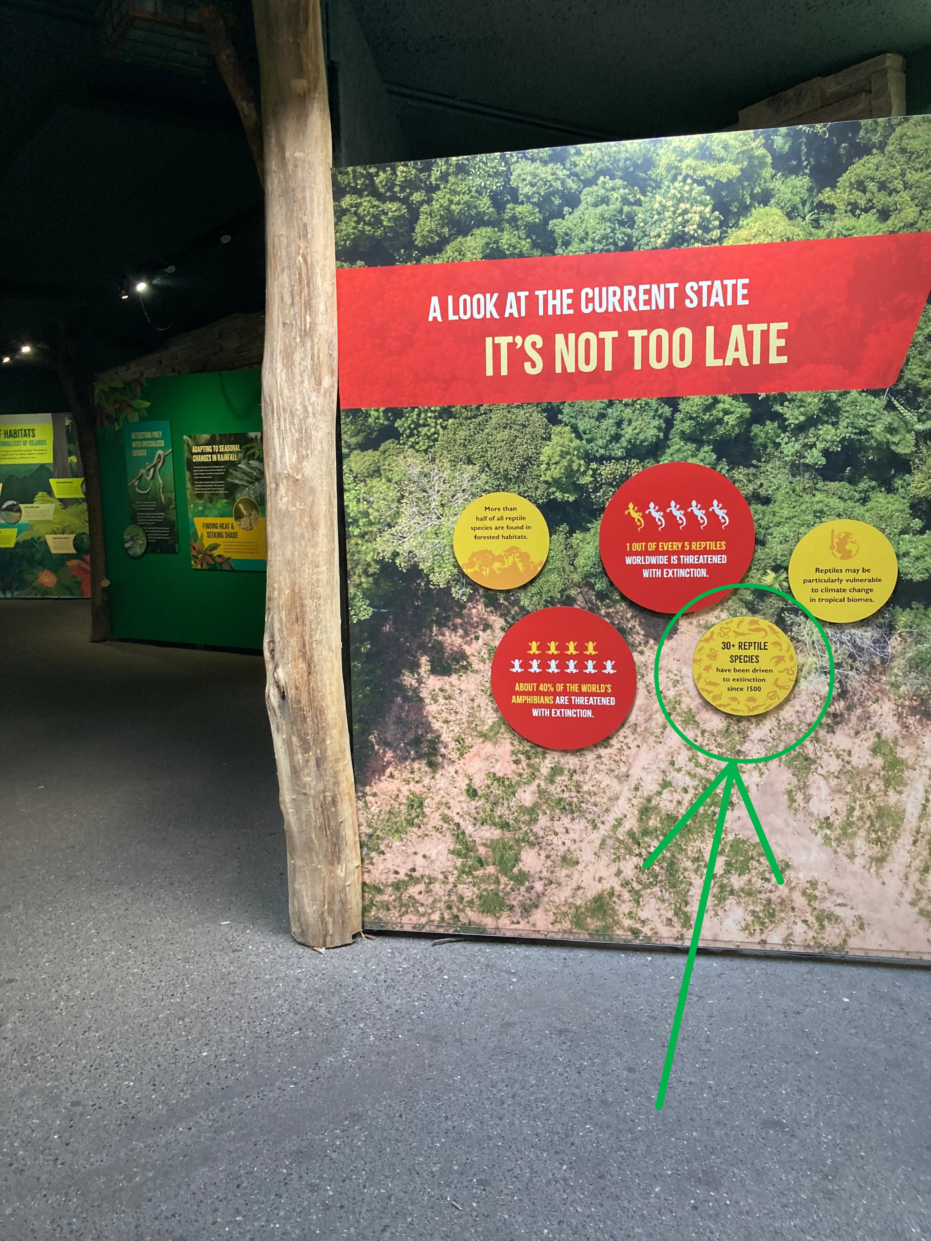 A yellow sign with various reptile icons and text stating “30+ reptile species have been driven to extinction since 1500."