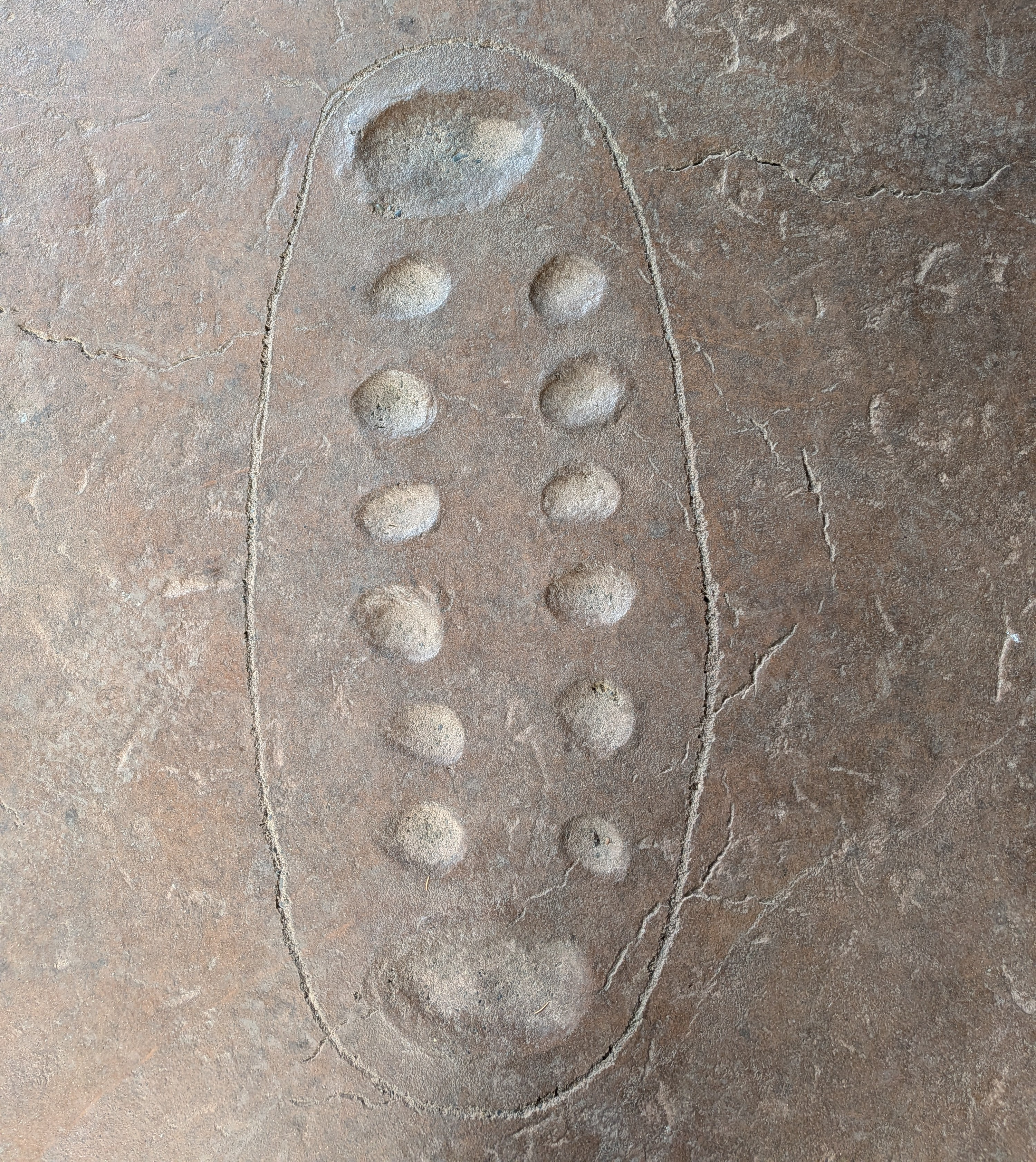 An image of a mancala board made up of 12 circles and 2 ovals etched into the ground. 