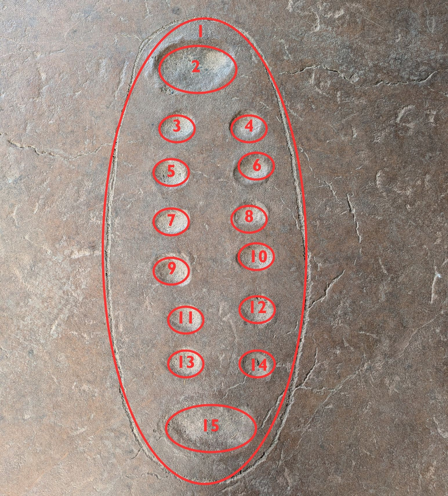 A mancala board made of 15 ovals outlined in red. 
